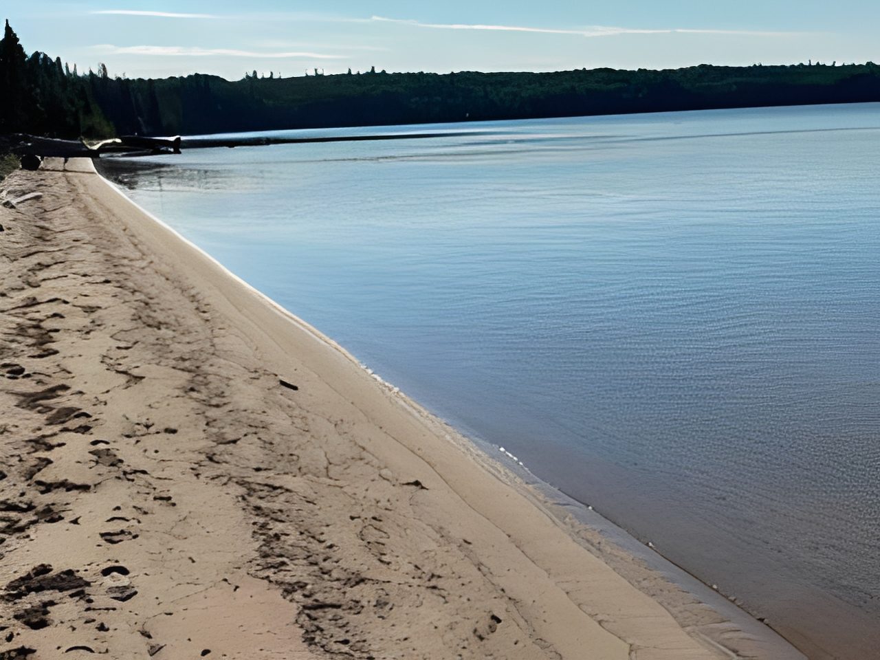 50cdc2f3-cd41-4e42-b849-60884e2a074d